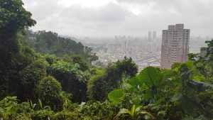 Elephant Mountain Taipei Taiwan Nangang Hiking Trail